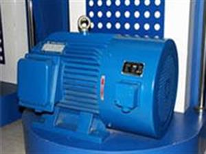 變頻調速電機-三相變頻調速電機